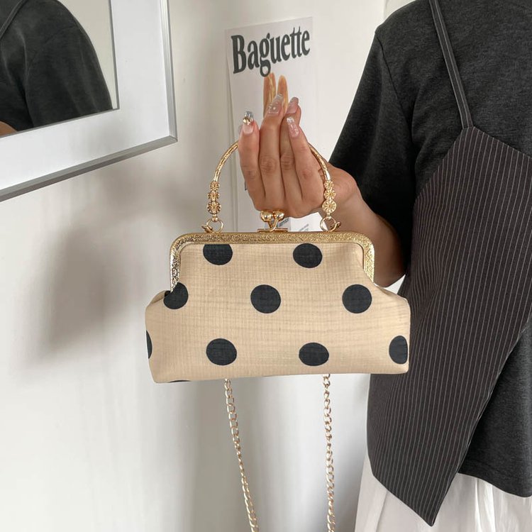 Women's Polka Dot Mini Bag | Vintage Metal Handle Handbag
